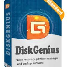 Download DiskGenius Professional v5.6.1.1580 ForWindow 2025