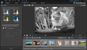 Download Photo Director Full Gratis For Lifetime 2025