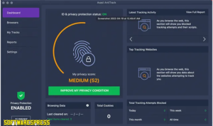 Avast Premium Security 24.12.96 Free Download Activator 2025