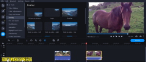 Movavi Video Suite V25.2.0 Free Download For Pc 2025