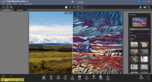 Corel Paint Shop Pro 2023 Full v25.0.0.122